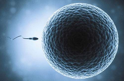 美國試管嬰兒技術好嗎？致所有迷茫的難孕育家庭！