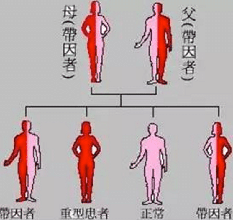 不抱怨命運(yùn)不公，地中海貧血夫妻實(shí)現(xiàn)生育夢！