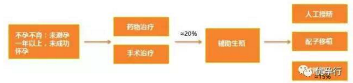 輔助生殖市場(chǎng)火爆，互聯(lián)網(wǎng)備孕中心激增，海外試管嬰兒較熱門！