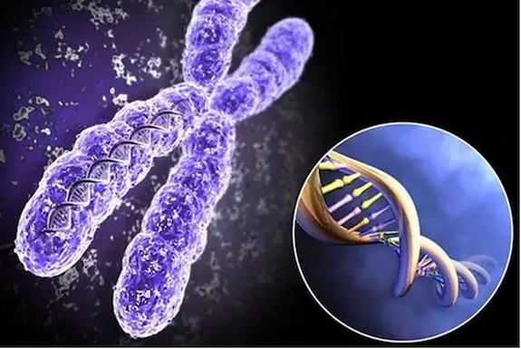 試管嬰兒周期這么辛苦，千萬不要讓你的試管之路毀在這一步！