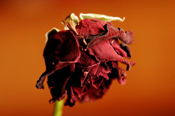 48歲可以做美國試管嬰兒嗎?