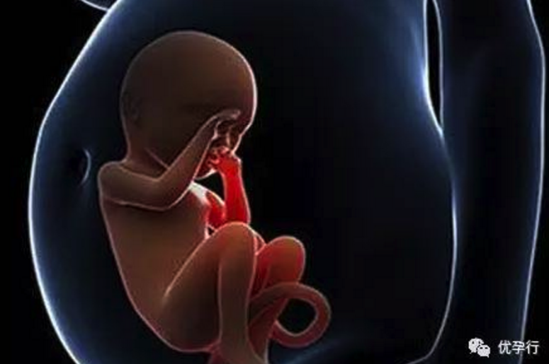 45歲還在等自然受孕,不是她不愿意做試管嬰兒,因為她很在意這三件事!