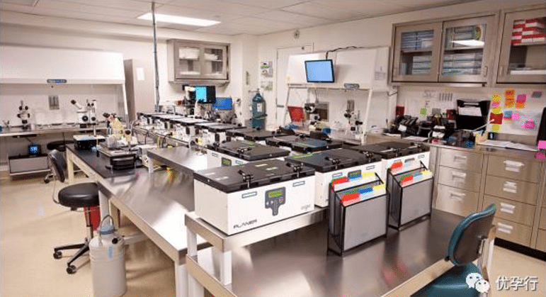 美國試管嬰兒到底牛在哪?